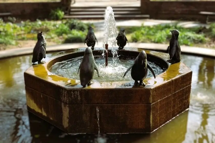 Pinguinen, die im Kreis sitzen, sich anschauen, wegsehen oder sich abwenden von den anderen