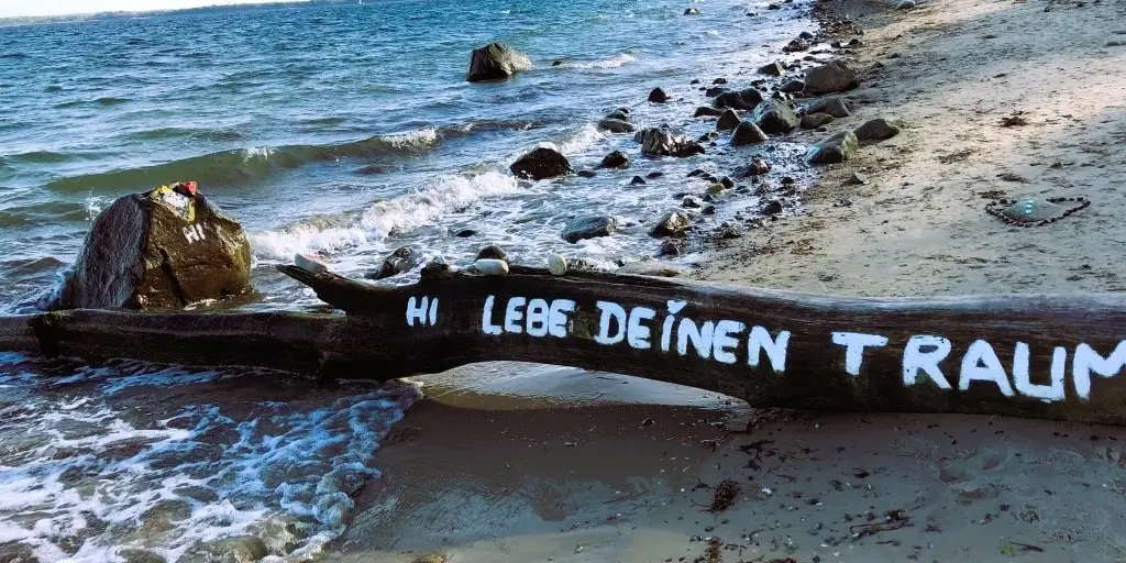 toter Baumstamm am Strand mit Aufschritt -Lebe deinen Traum