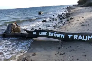totes Holz, auf dem "Lebe deinen Traum" geschrieben steht