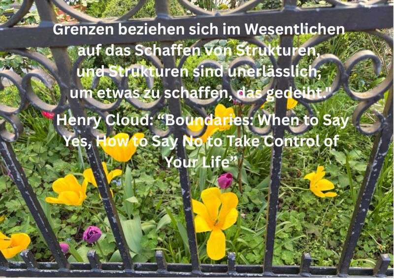 Blumenwiese hinter einem Zaun