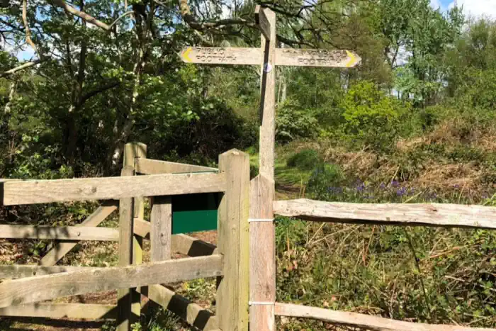 Wegweiser, um richtige Entscheidungen zu treffen